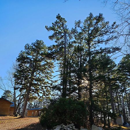 5 Min To Beaver Lake-King Bed-Fire Pit-Jetted Tub #3 يوريكا سبرينغز المظهر الخارجي الصورة